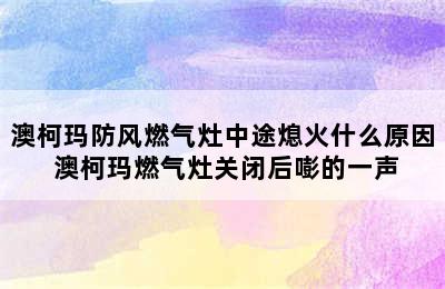 澳柯玛防风燃气灶中途熄火什么原因 澳柯玛燃气灶关闭后嘭的一声